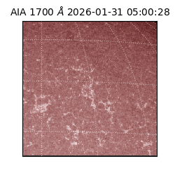 saia - 2026-01-31T05:00:28.718000