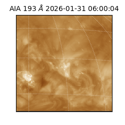 saia - 2026-01-31T06:00:04.843000