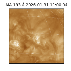 saia - 2026-01-31T11:00:04.843000
