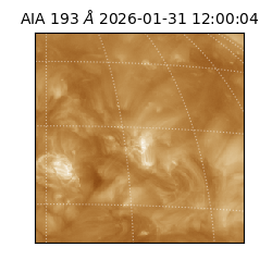 saia - 2026-01-31T12:00:04.843000