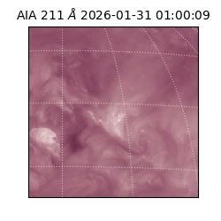 saia - 2026-01-31T01:00:09.629000