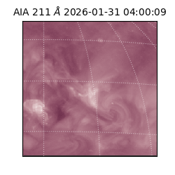 saia - 2026-01-31T04:00:09.626000