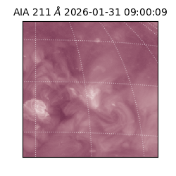 saia - 2026-01-31T09:00:09.626000