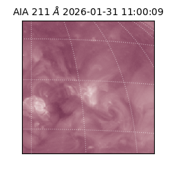 saia - 2026-01-31T11:00:09.626000