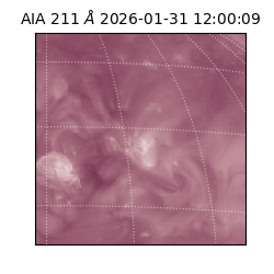 saia - 2026-01-31T12:00:09.626000