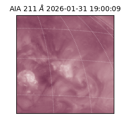 saia - 2026-01-31T19:00:09.626000