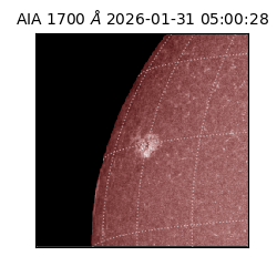 saia - 2026-01-31T05:00:28.718000