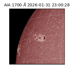 saia - 2026-01-31T23:00:28.717000