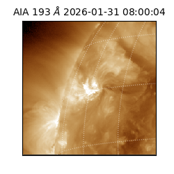 saia - 2026-01-31T08:00:04.843000