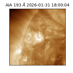 saia - 2026-01-31T18:00:04.843000