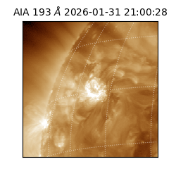 saia - 2026-01-31T21:00:28.843000