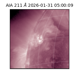 saia - 2026-01-31T05:00:09.630000