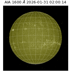 saia - 2026-01-31T02:00:14.126000