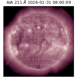 saia - 2026-01-31T08:00:09.626000