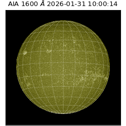 saia - 2026-01-31T10:00:14.126000