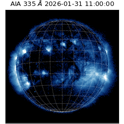 saia - 2026-01-31T11:00:00.633000