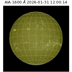 saia - 2026-01-31T12:00:14.126000
