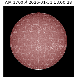 saia - 2026-01-31T13:00:28.720000