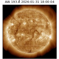saia - 2026-01-31T18:00:04.843000