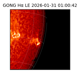 gong - 2026-01-31T01:00:42