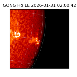 gong - 2026-01-31T02:00:42