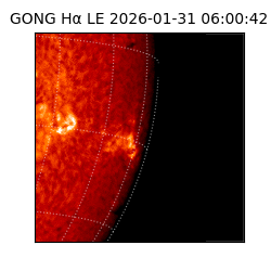 gong - 2026-01-31T06:00:42