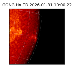 gong - 2026-01-31T10:00:22