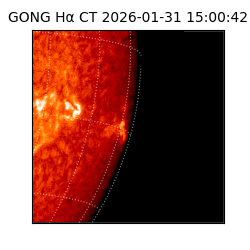 gong - 2026-01-31T15:00:42