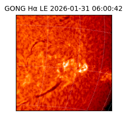gong - 2026-01-31T06:00:42