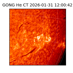 gong - 2026-01-31T12:00:42