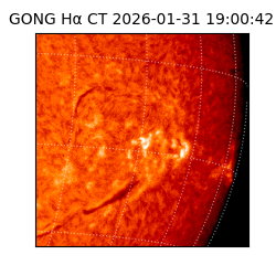 gong - 2026-01-31T19:00:42