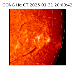 gong - 2026-01-31T20:00:42