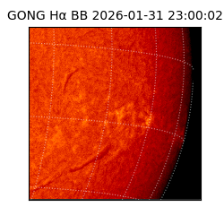 gong - 2026-01-31T23:00:02