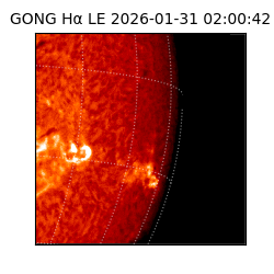 gong - 2026-01-31T02:00:42