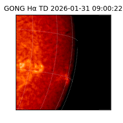 gong - 2026-01-31T09:00:22