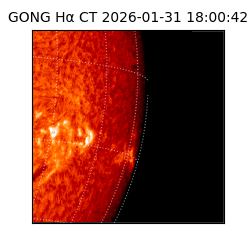 gong - 2026-01-31T18:00:42