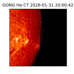 gong - 2026-01-31T20:00:42