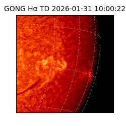 gong - 2026-01-31T10:00:22
