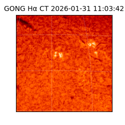 gong - 2026-01-31T11:03:42