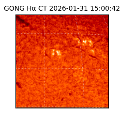 gong - 2026-01-31T15:00:42