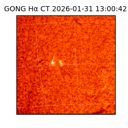 gong - 2026-01-31T13:00:42