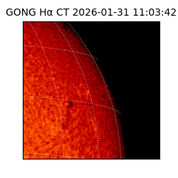 gong - 2026-01-31T11:03:42
