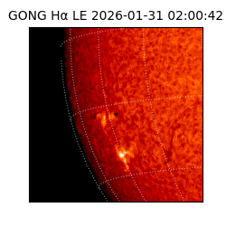 gong - 2026-01-31T02:00:42