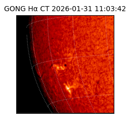 gong - 2026-01-31T11:03:42