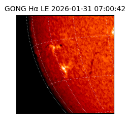 gong - 2026-01-31T07:00:42