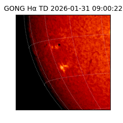 gong - 2026-01-31T09:00:22