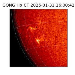 gong - 2026-01-31T16:00:42