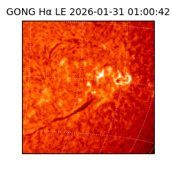 gong - 2026-01-31T01:00:42
