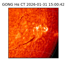 gong - 2026-01-31T15:00:42