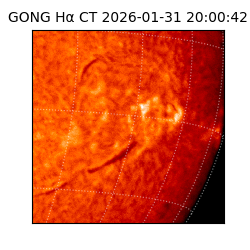 gong - 2026-01-31T20:00:42